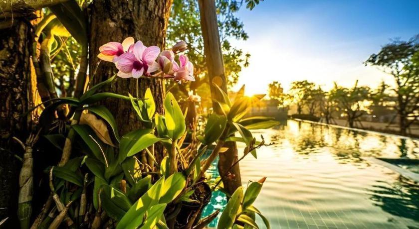ฉัตรนิภา บีช รีสอร์ท  Ban Hat Lek ภายนอก รูปภาพ